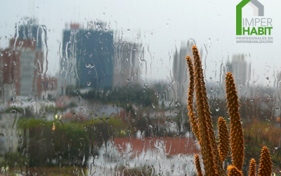 ¡Qué bonito es ver llover y no mojarse!