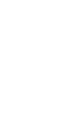 SeguridadIcon